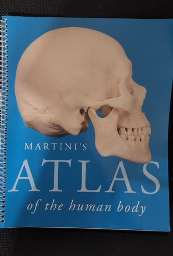 Martini atlas the human - of,