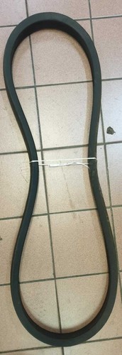 Cinghia mietitrebbia laverda - cinghia, x