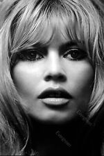Brigitte Bardot (8)  Attrice Actress Foto Photo 10 x 15 cm