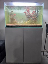 Acquario aperto artigianale