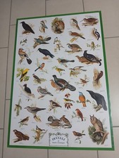Poster vintage 1981 Uccelli di