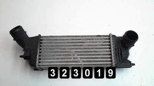 Citroen 2005 radiatore - citroen,