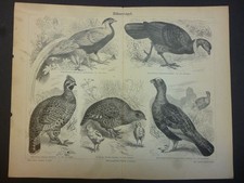 Orig. Incisione su legno