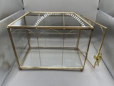 Pianta Terrario Casa