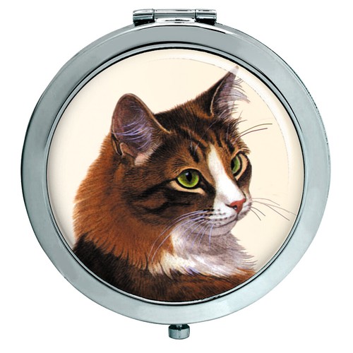 Siberiano gatto specchio - siberiano,