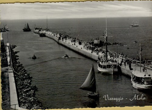 55567t vecchia cartolina - 55567t,