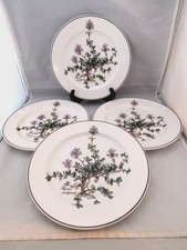 Villeroy & Boch 8" Plates