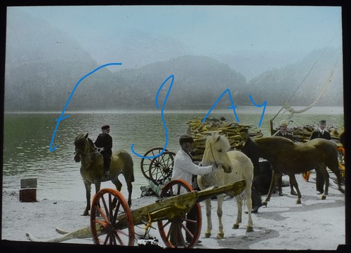Ponies beach norway 1907 - ponies,