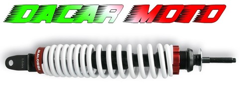 Ammortizzatore rs1 malossi - rs1,