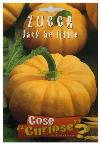 Semi seeds zucca jack - 10,