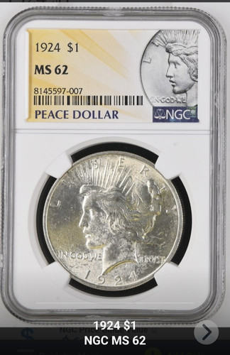 Dollaro della pace 1924 - pace, ngc