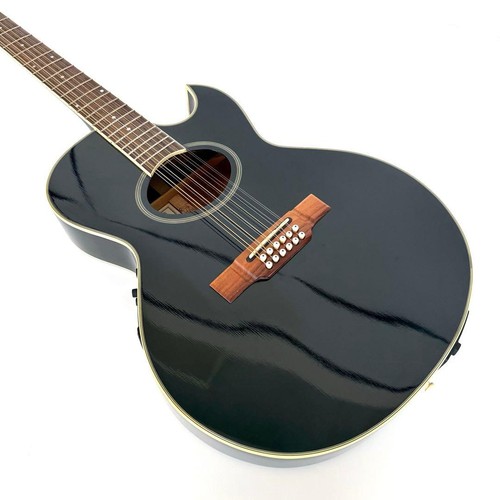 Chitarra elettrica acustica