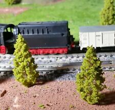 20 Dunkelgelbgrüne Abeti, Conifere, 58 MM Alto