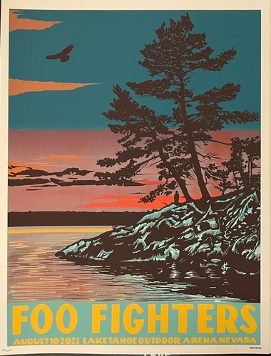 Poster foo fighters lake - fighters,