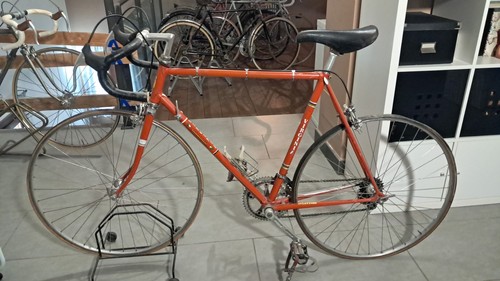 Corsa virginia paletti - virginia, vintage