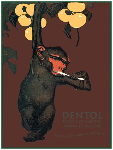 401619 dentol denti niente - 401619,