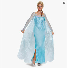 Vestito Costume Principessa