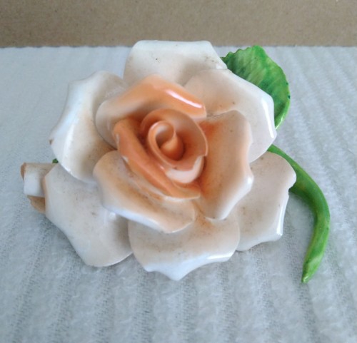 Rosa con ramo - , foglie