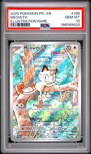2025 pokemon pfl fiamme - pokemon, en-fiamme