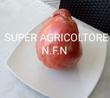 50 Semi Pomodoro Gigante Cuore di bue Semi Garantiti Pomodoro Da Oltre 2kg