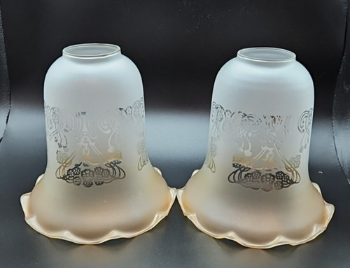 Frosted floral etched - x,