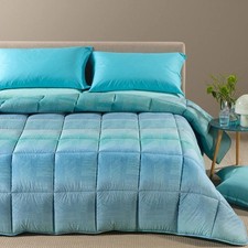 Trapunta Piumone invernale