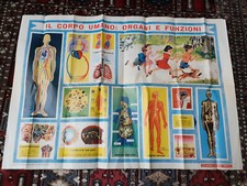 poster didattico antico "il corpo umano organi e funzioni" 1962 ed. la scuola