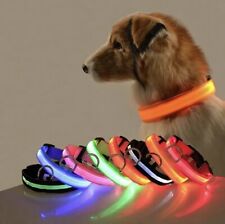 Collare per Cane LED Fluo Regolabile Luminoso Cani 3 Taglie S - M - L Resistente