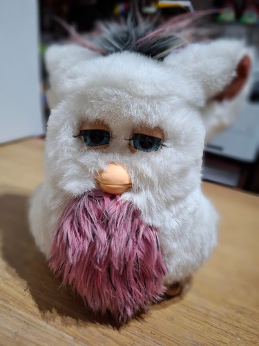 Raro tiger furby - raro, passion