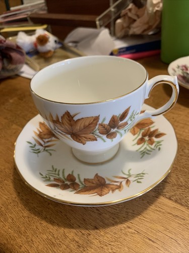 Tazza piattino bone china - piattino,