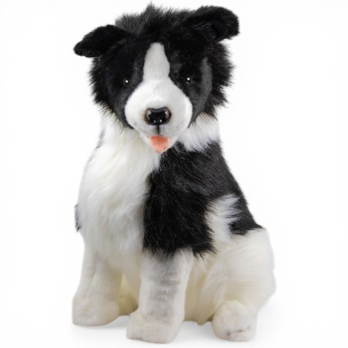Carl dick border collie seduto - border,