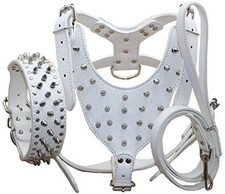 Collari, Imbracature E