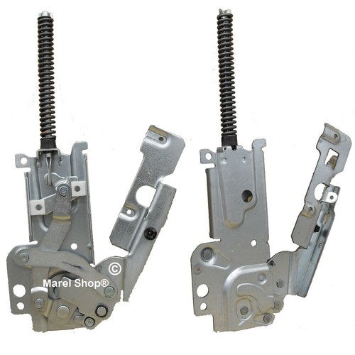 Cerniere complete per - sx,