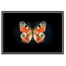 Decorazione da parete