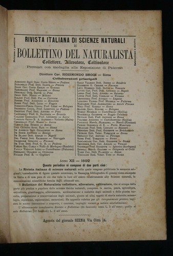 Raccolta della rivista - raccolta,