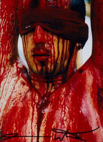 Hermann nitsch aktion - hermann,