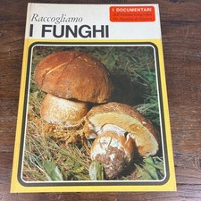 RACCOGLIAMO I FUNGHI I