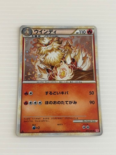 Windy legend pacchetto - legend,