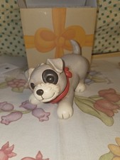 Thun Cane Meticcio Medio Con