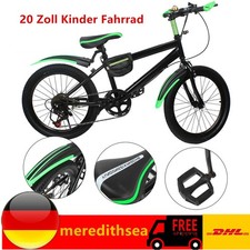 Bicicletta 20 pollici per