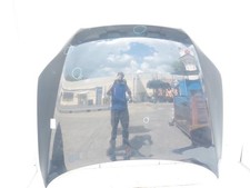 4L0823029A COFANO ANTERIORE AUDI Q7 (4L) 3.0 TDI 24V AUT 240CV 2008 5P SEDAN