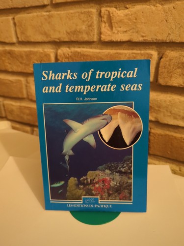 Sharks tropical and - sharks,