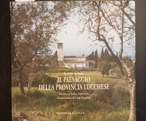 Bellato franco paesaggio - bellato, franco.