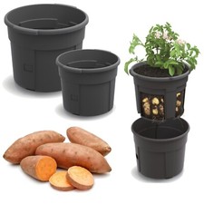 Vaso per piante pianta - per, di