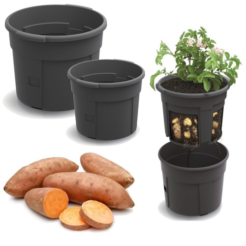 Vaso per piante - pianta, di