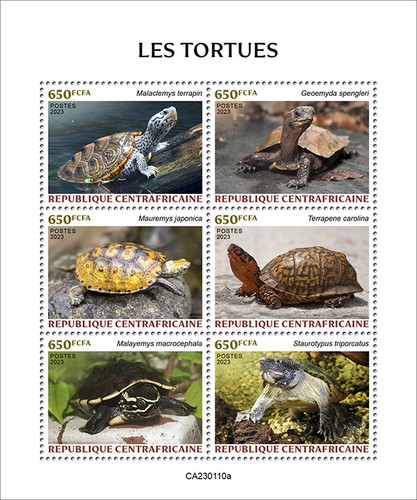 Turtles