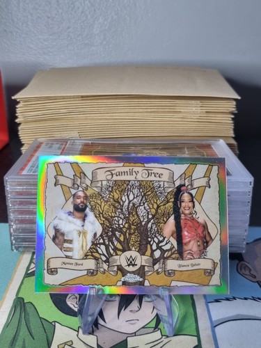 2025 topps chrome wwe family - topps,