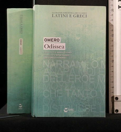Grande biblioteca dei - la,