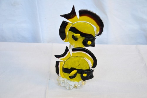 Coppia pesci tropicali - pesci,