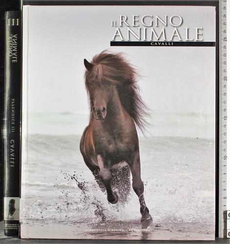 Regno animale cavalli - il, animale.